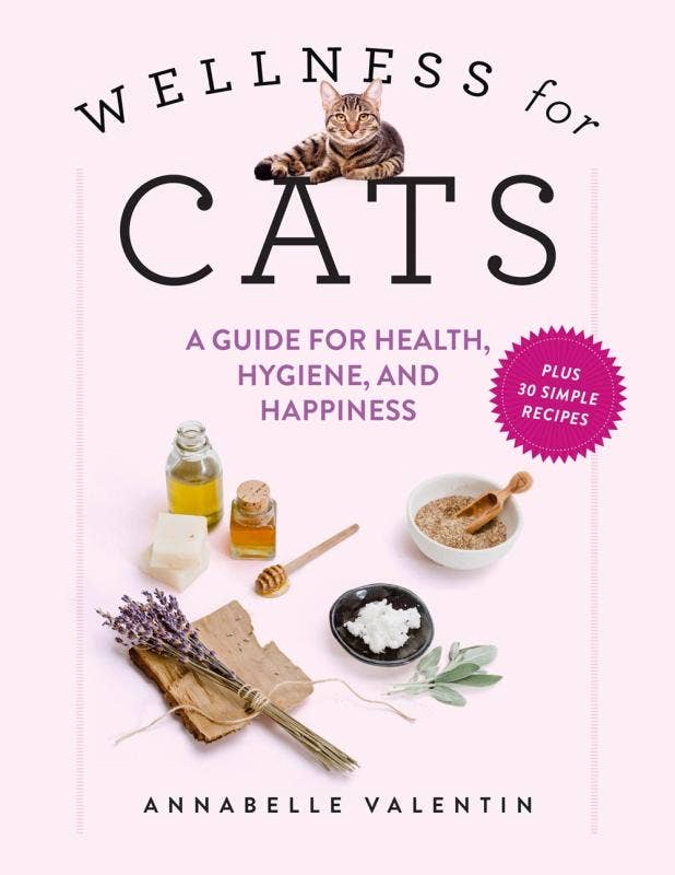 Wellness for Cats: Health, Hygiene, and Happiness