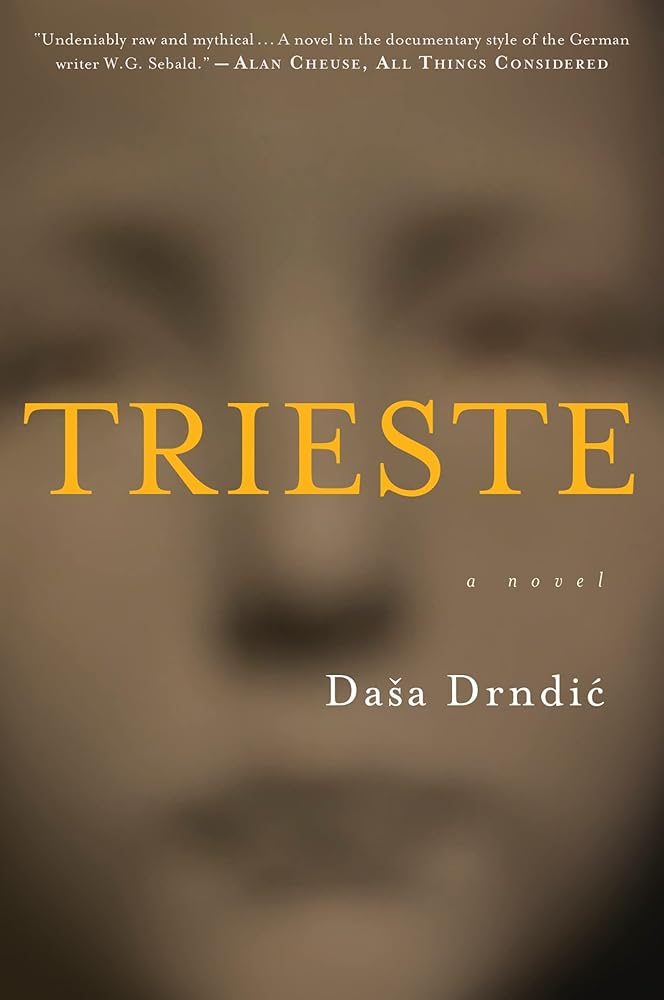 Trieste: A Haunting Literary Novel of the Holocaust – A Mother's Search in Nazi-Occupied Italy cover image