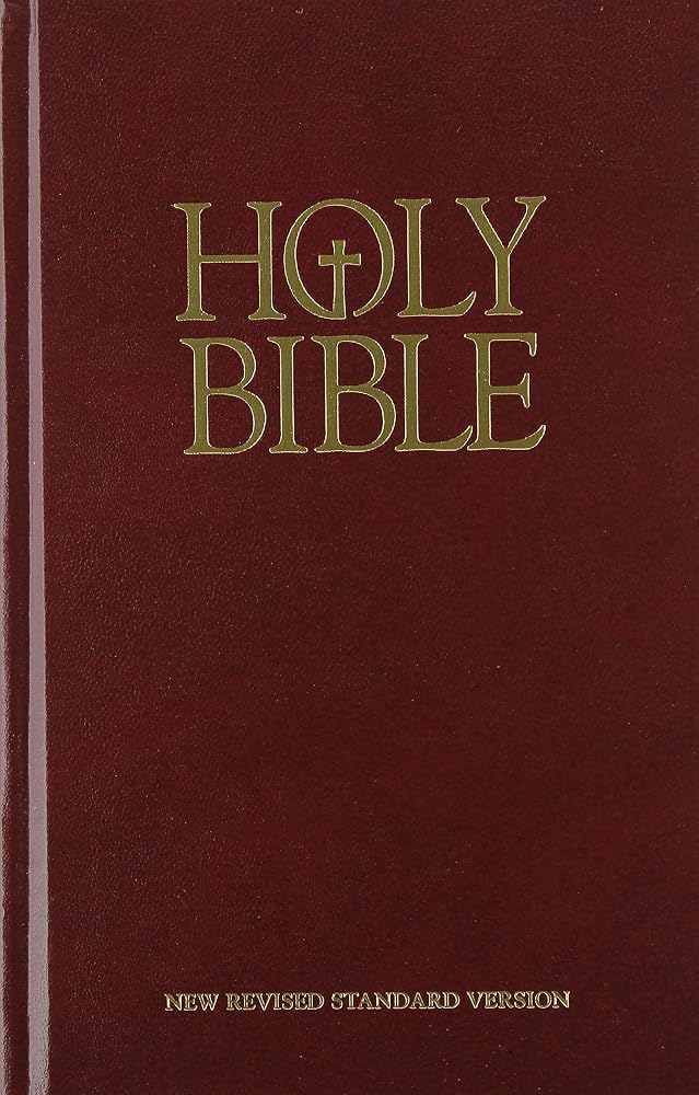 Holy Bible New Revised Standard Version cover image