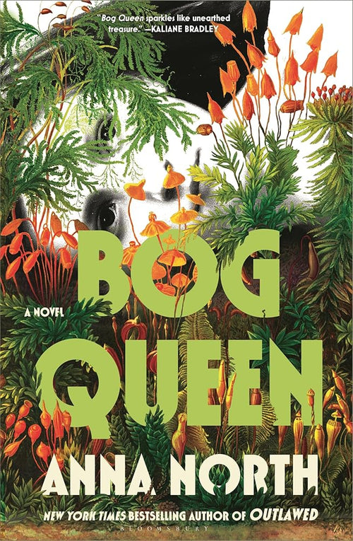 Bog Queen: A Novel cover image