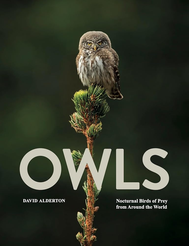 Owls: Nocturnal Birds of Prey from Around the World (Animals in Photographs) cover image