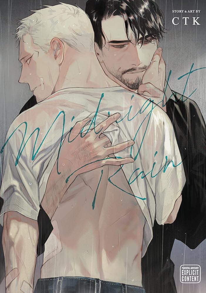 Midnight Rain cover image