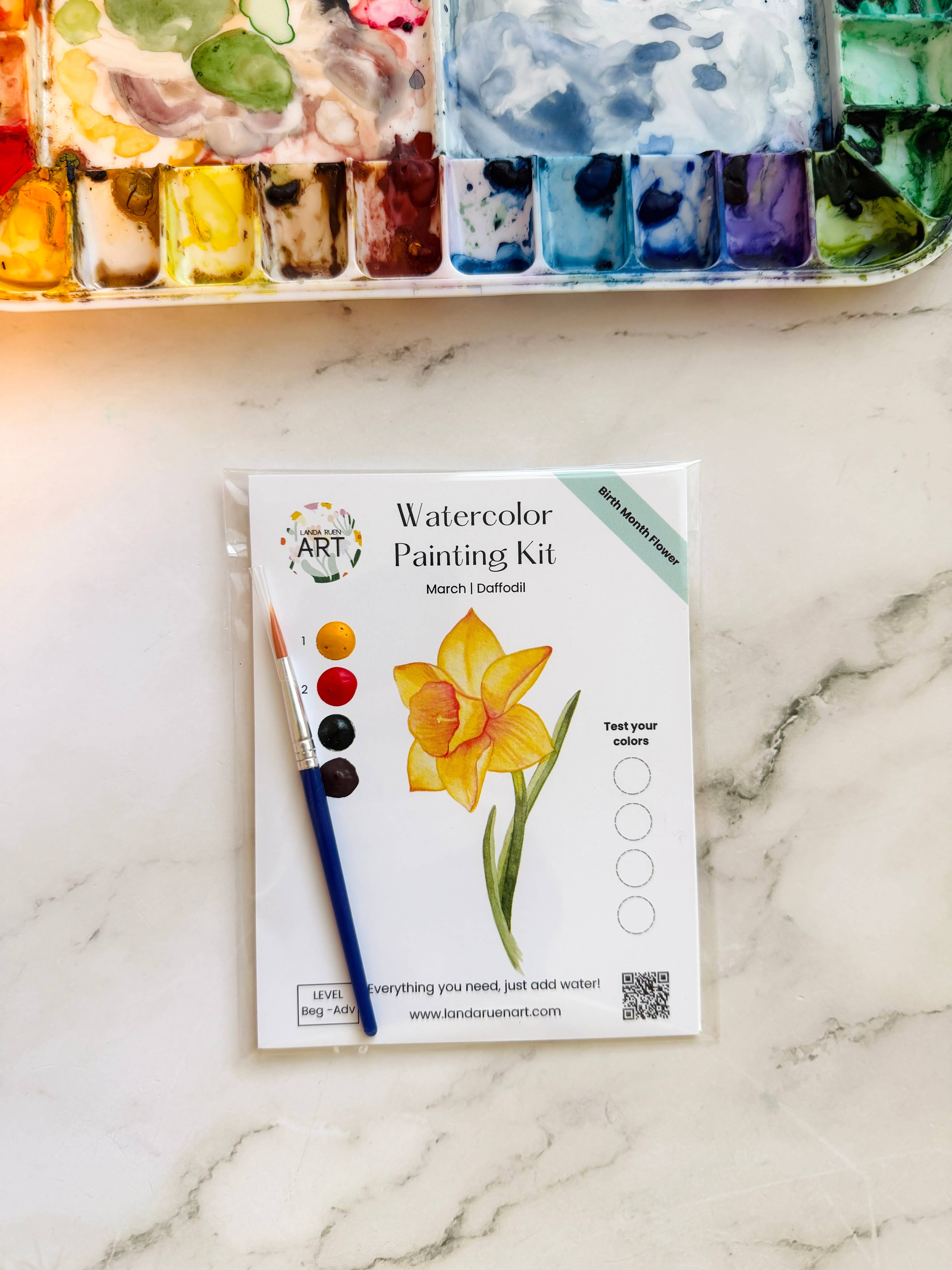 Daffodil Watercolor Kit | March Birth Month Flower