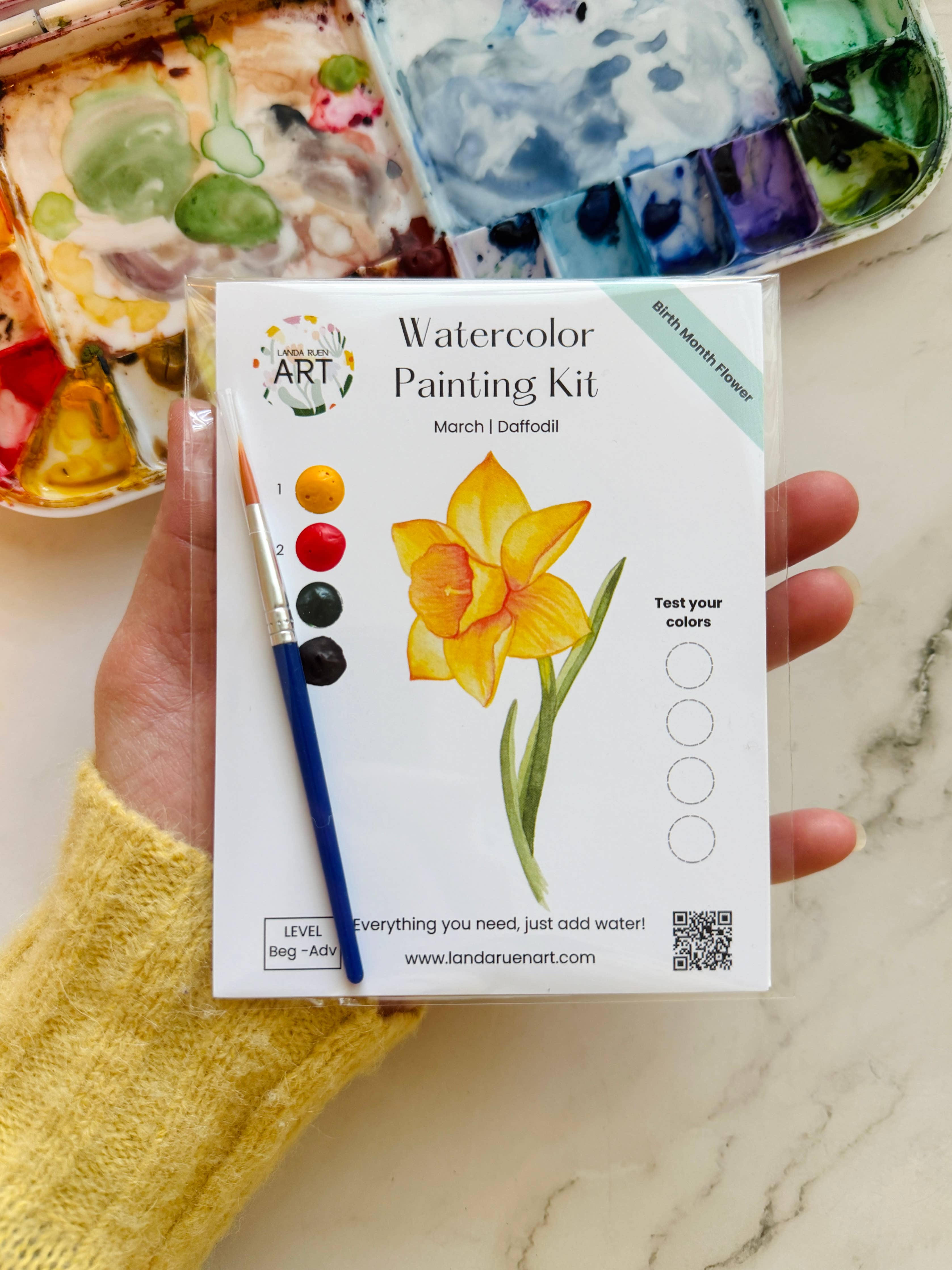 Daffodil Watercolor Kit | March Birth Month Flower