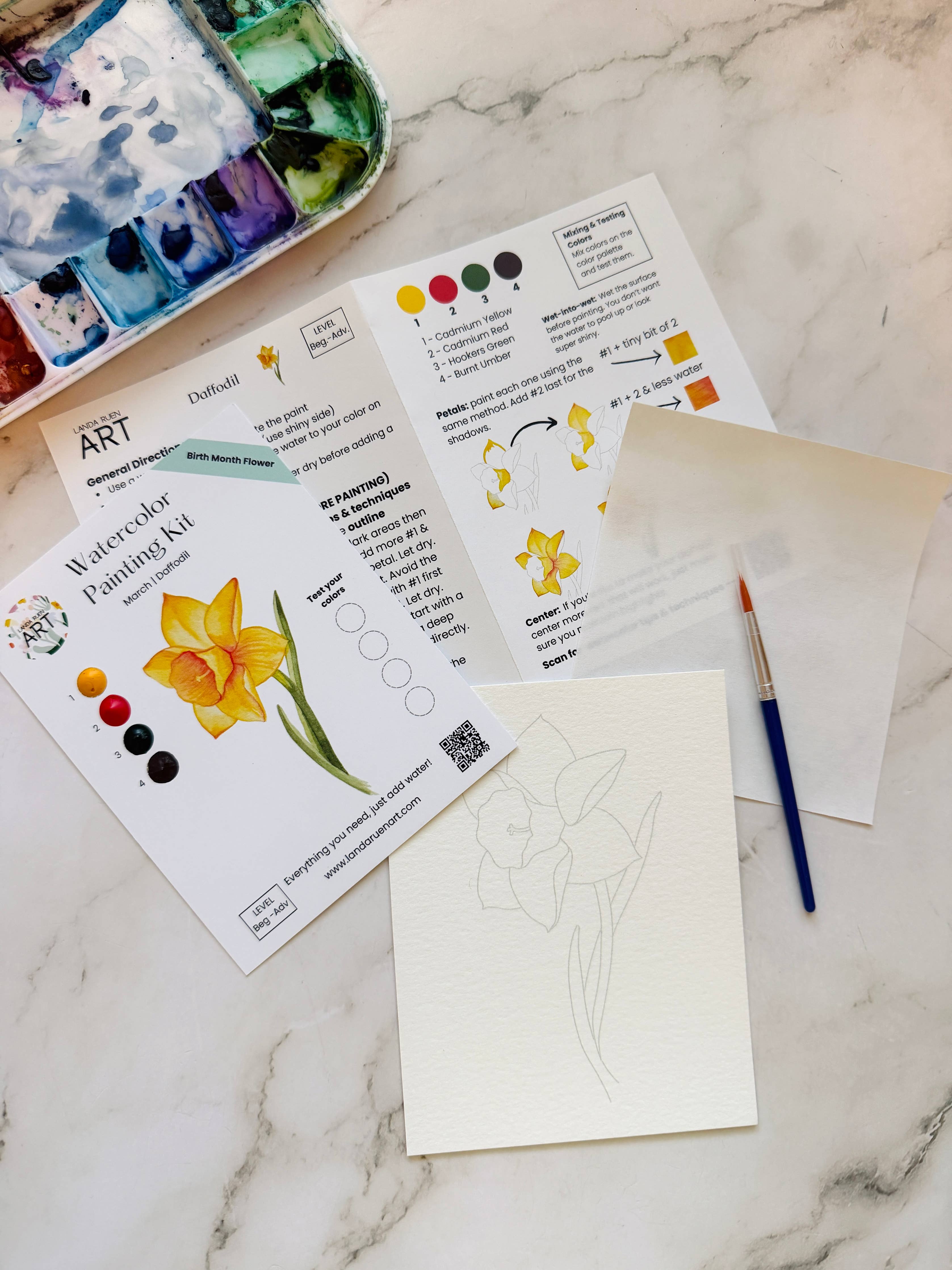 Daffodil Watercolor Kit | March Birth Month Flower