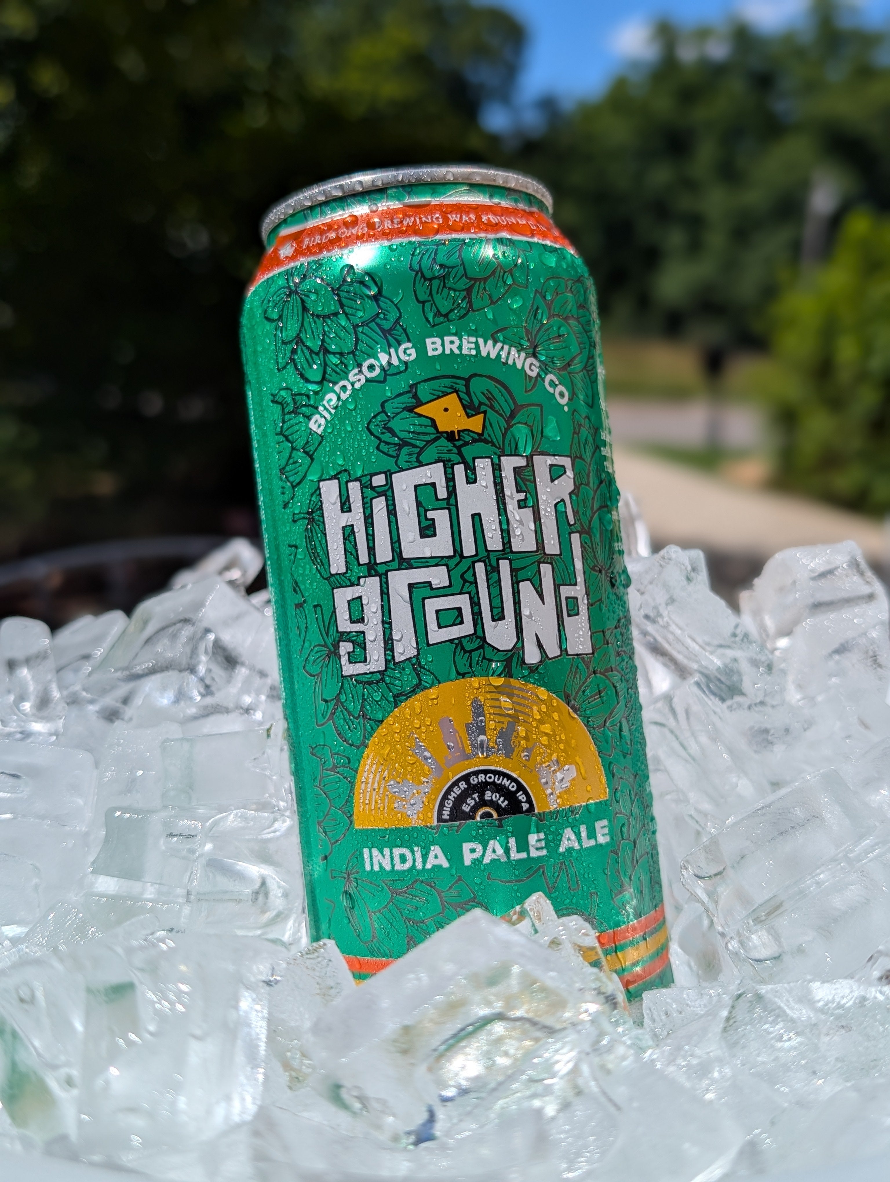 Higher Ground IPA