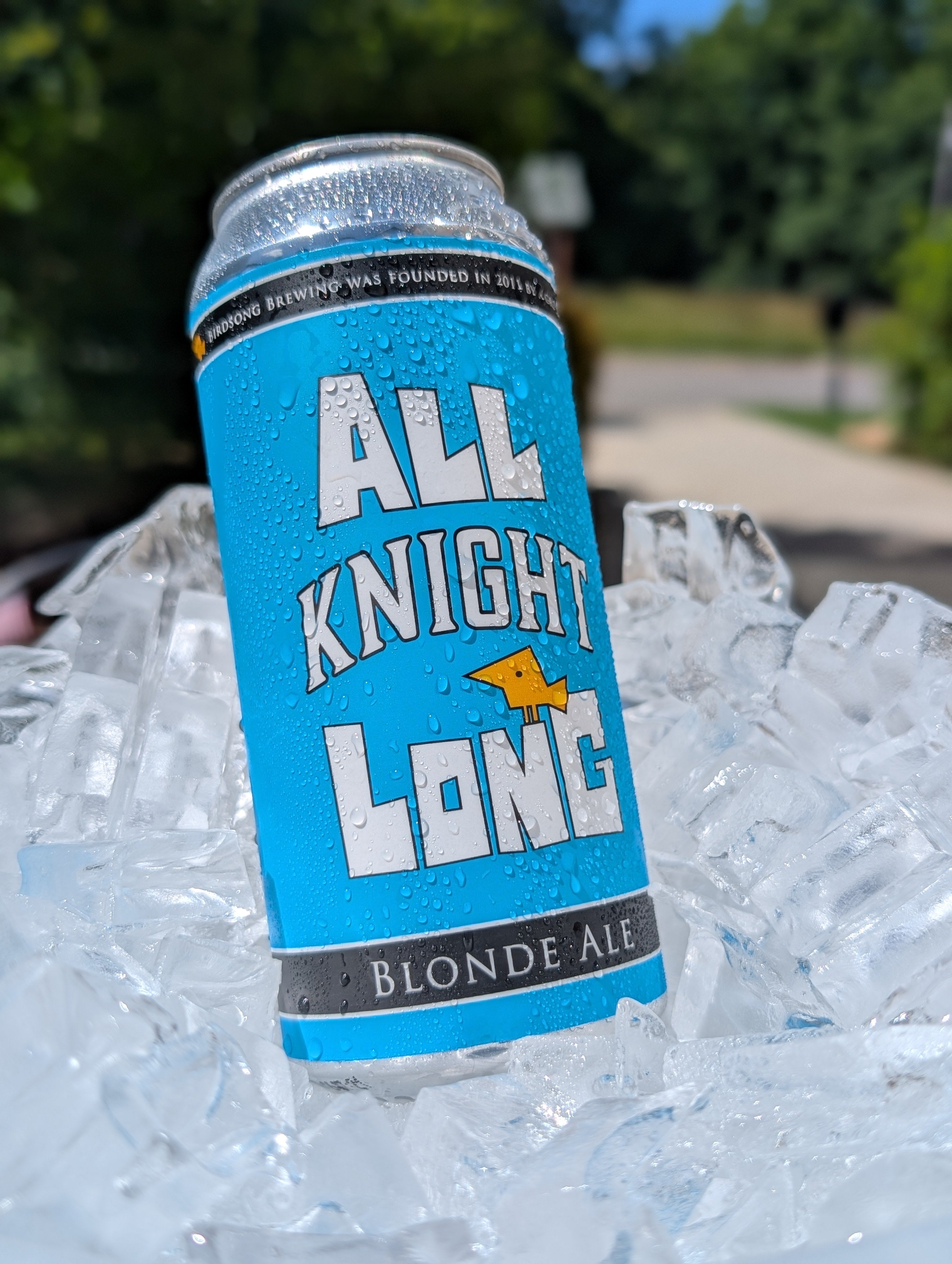 All Knight Long Blonde Ale