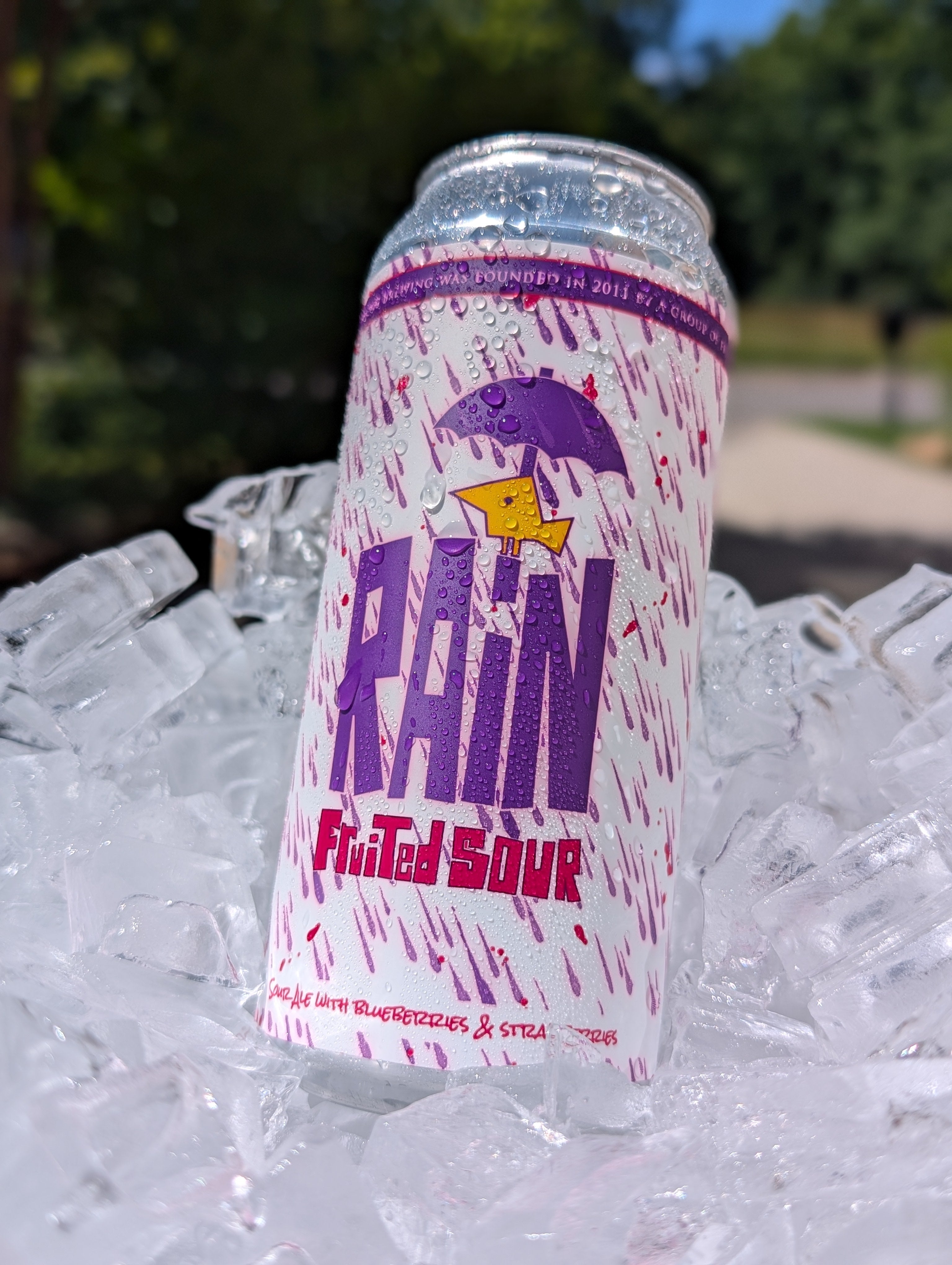 Rain Fruited Sour
